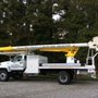 Photo of Belcher Tree Service