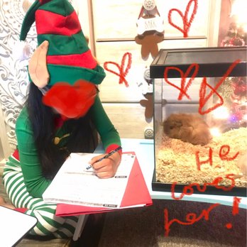 Whittier Feed Store - He Loves her! They sit to do homework. - Pet Stores Near Me - Whittier, California