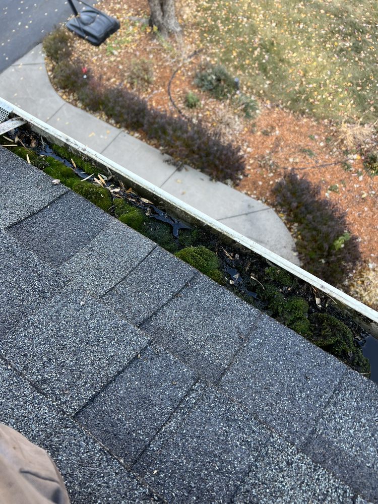Gutter Maids - tree service in Big Lake, MN