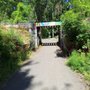 Springwater Corridor Trail