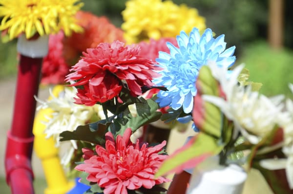 Idaho Botanical Garden by null