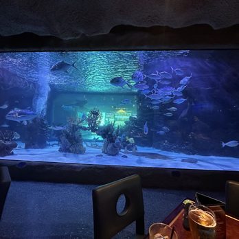 Aquarium Restaurant - Seafood Near Me - Houston, Texas