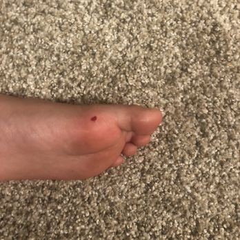 J K Carpet Center Carpeting 985 Broadway St Ne Salem Or Phone Number Yelp