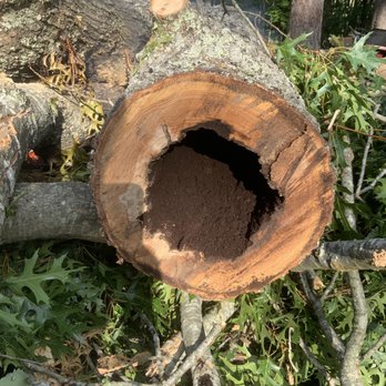 Turner Tree Service - Tree Services Near Me Turner Tree Service - Tree Services Near Me