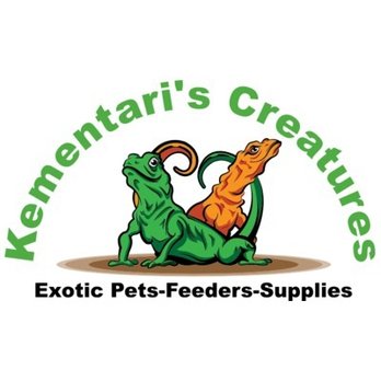 Kementari's Creatures - Reptile Shops Near Me - Mount Vernon, Washington Kementari's Creatures - Reptile Shops Near Me - Mount Vernon, Washington