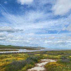 Soda Lake Overlook and Boardwalk