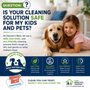 Heaven's Best Carpet Cleaning