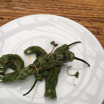 Firefly - Charcoal Grilled Shishito Peppers - New American Near Me - Studio City, California Firefly - Charcoal Grilled Shishito Peppers - New American Near Me - Studio City, California