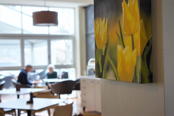 Forrest Hotel and Apartments by null