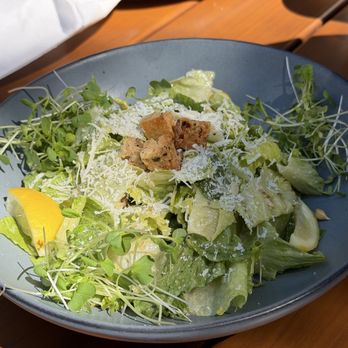 Noble Twist Taphouse - Caesar's salad - Pizza Near Me - Saugatuck, Michigan