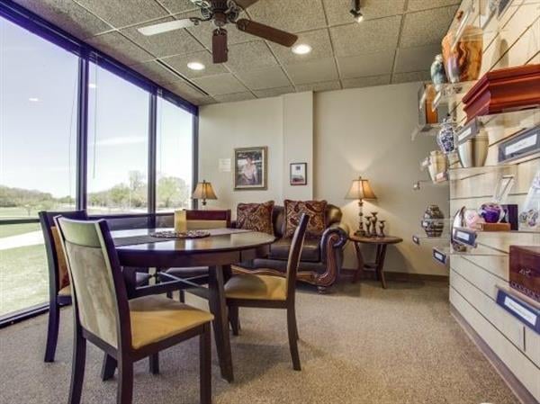 Local Cremation and Funerals - veterans service organization in Dallas, TX