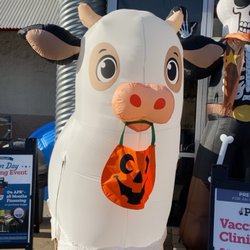 Tractor Supply - Halloween decor