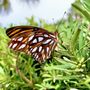 Photo of Rocky Creek Trails Nature Preserve