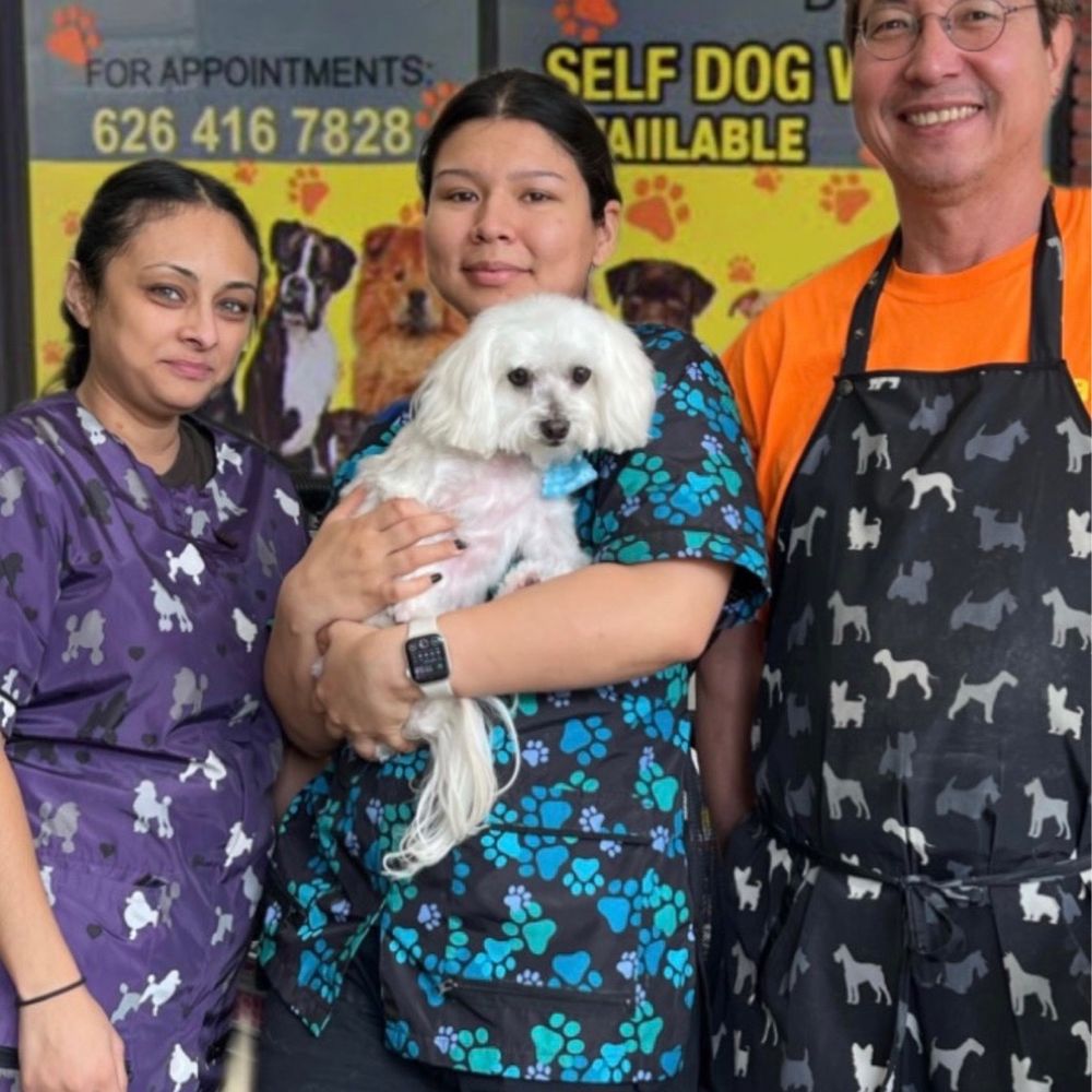 For Your FurBaby, The Best Grooming Team In Alhambra: Grooming By V