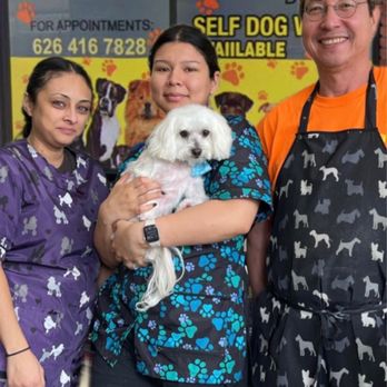 Grooming By V - For Your FurBaby, The Best Grooming Team In Alhambra: Grooming By V - Pet Groomers Near Me - Alhambra, California