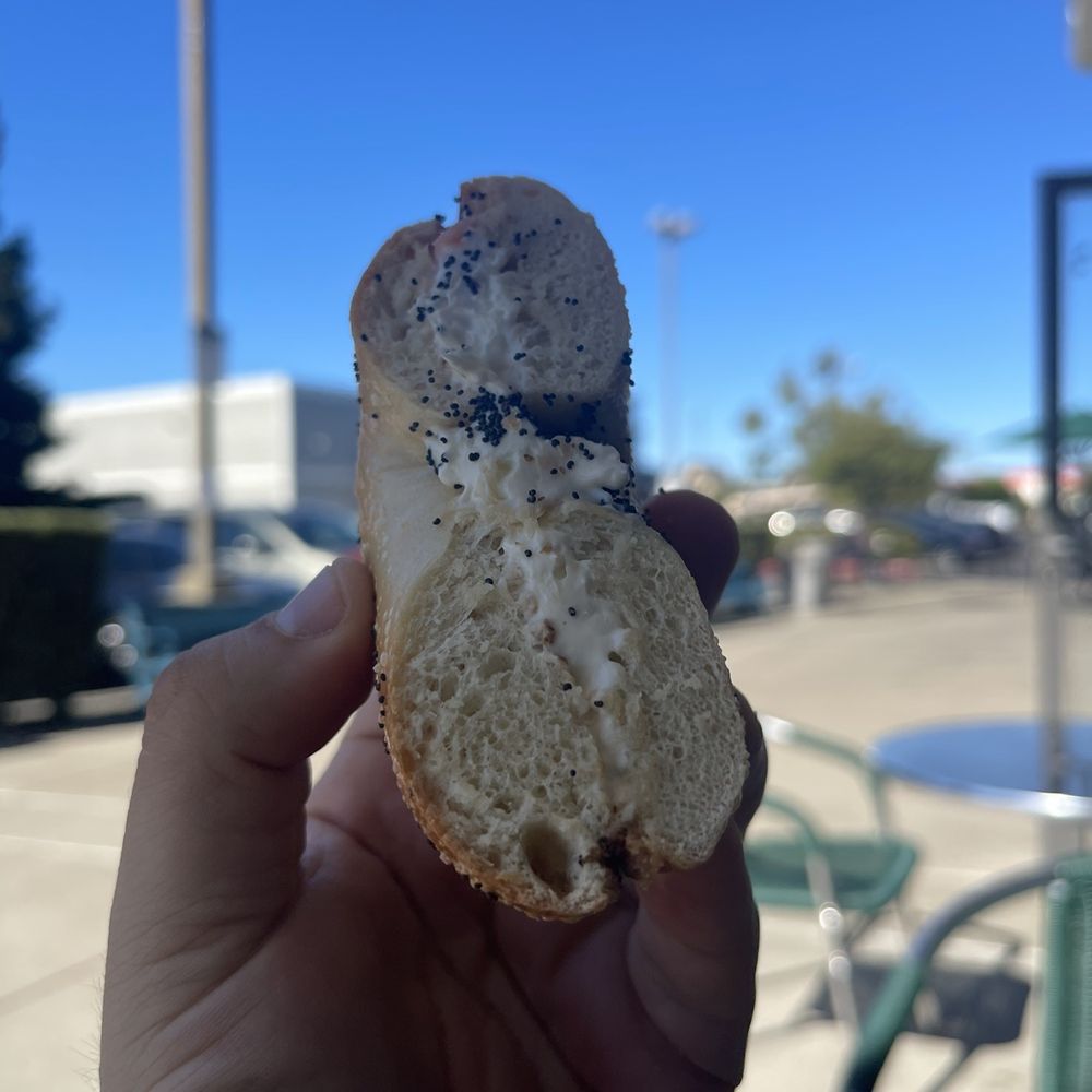 Levy's Bagels - a hand holding a bagel - Bagels Near Me - Alameda, California Levy's Bagels - a hand holding a bagel - Bagels Near Me - Alameda, California