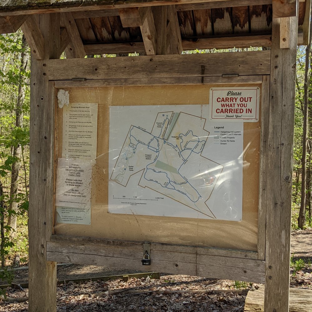 Hedgehog Mountain - Hiking Near Me - Freeport, Maine