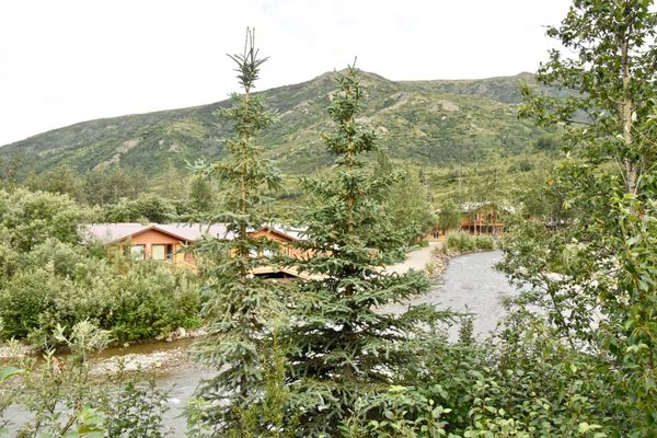 Denali Backcountry Lodge by null