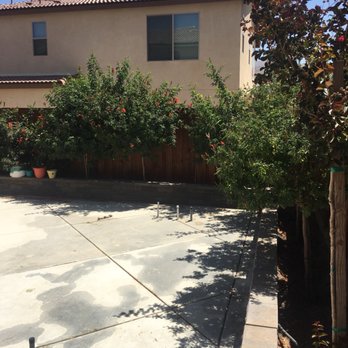Ortega's Jr Tree Service - Before - Tree Services Near Me - Riverside , California Ortega's Jr Tree Service - Before - Tree Services Near Me - Riverside , California