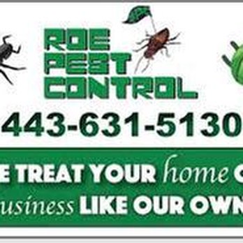 Roe Pest Control - untitled - Pest Control Near Me - Dundalk, Maryland Roe Pest Control - untitled - Pest Control Near Me - Dundalk, Maryland
