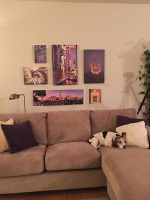 canvas champ reviews