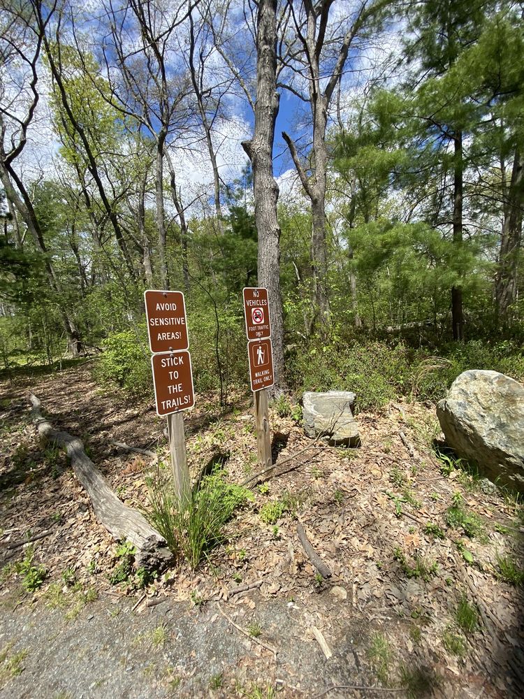 Aberjona Nature Trail Image