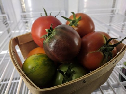 Brightmoor Artisans Collective by null