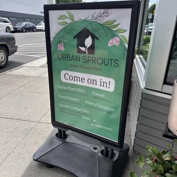 Urban Sprouts - Outside Urban Sprouts in Renton, Washington - July 2025 - Home Decor Near Me - Renton, Washington Urban Sprouts - Outside Urban Sprouts in Renton, Washington - July 2025 - Home Decor Near Me - Renton, Washington
