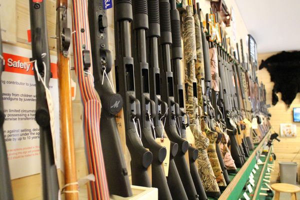 THE FIRING PIN - Updated July 2026 - 61 Photos & 24 Reviews - 8240