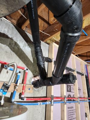 Lions Rooter Drain Cleaning