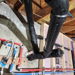 Lions Rooter Drain Cleaning