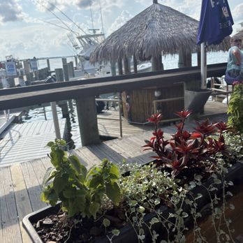 Fish Tales - Bay - Bars Near Me - Ocean City, Maryland