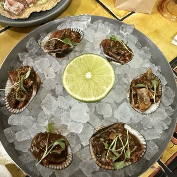Holbox - Blood Clams - Latin American Near Me - Los Angeles, California
