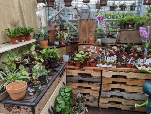 BENEDICT’S HOME & GARDEN - 34 Photos & 14 Reviews - 480 Purdy Hill Rd