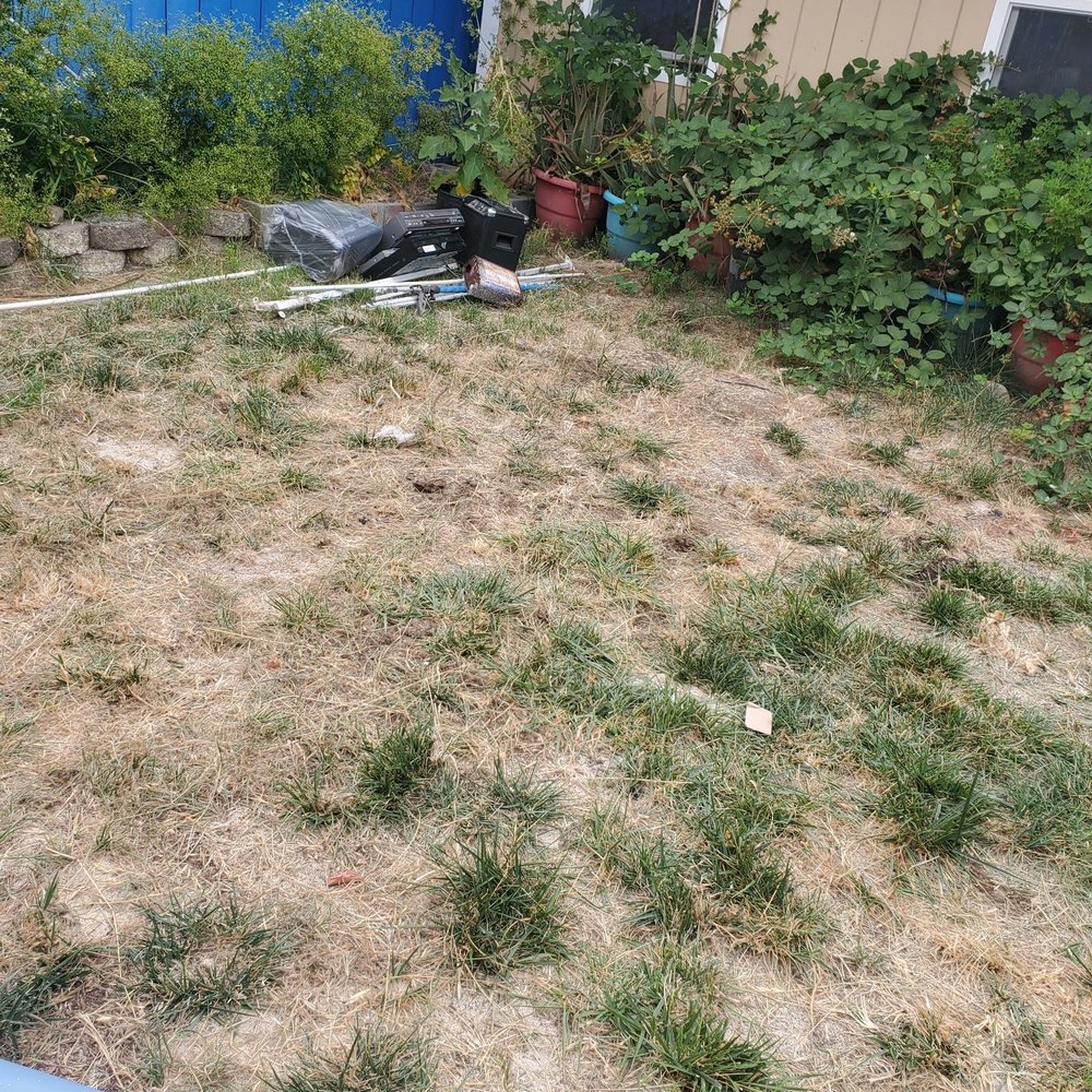 PJ’s Junk Removal - Everything gone! - Junk Removal & Hauling Near Me PJ’s Junk Removal - Everything gone! - Junk Removal & Hauling Near Me