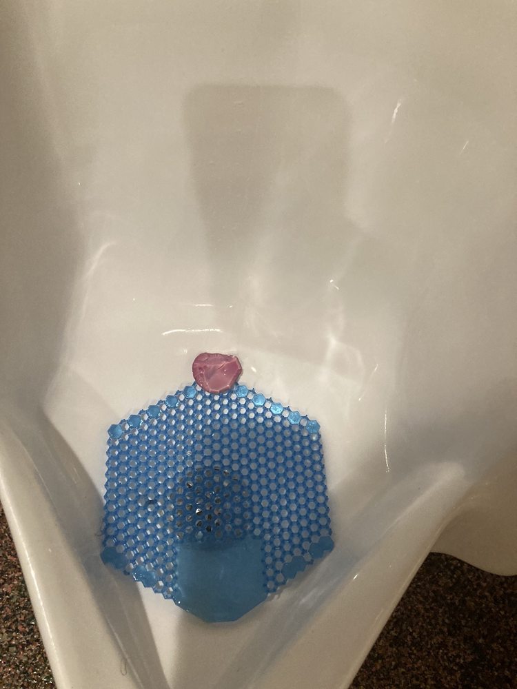 HOSS’S STEAK & SEA HOUSE Updated September 2024 17 Photos & 20