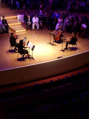 Chicago Symphony Orchestra by null