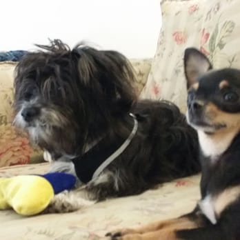 the bath house pet salon