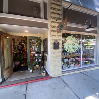 The Healing Hedge Witch - Front entrance - Gift Shops Near Me - Tarpon Springs, Florida The Healing Hedge Witch - Front entrance - Gift Shops Near Me - Tarpon Springs, Florida