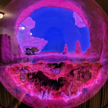 The Real Unreal - Meow Wolf - Art Museums Near Me - Grapevine, Texas The Real Unreal - Meow Wolf - Art Museums Near Me - Grapevine, Texas