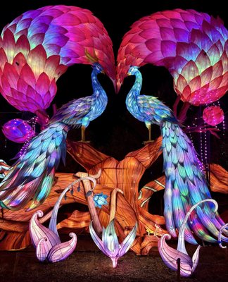 Four Mile Historic Park by null