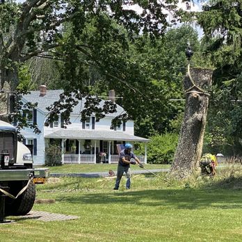 Keith's Tree Service - Crane making last pick with Company owner on the saw. - Tree Services Near Me - Woodridge, New York Keith's Tree Service - Crane making last pick with Company owner on the saw. - Tree Services Near Me - Woodridge, New York