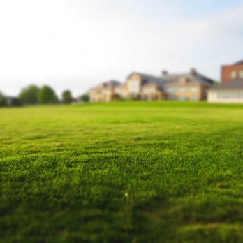 JP Ventura Landscaping - a green lawn with a house in the background - Landscaping Near Me - Westbury, New York JP Ventura Landscaping - a green lawn with a house in the background - Landscaping Near Me - Westbury, New York