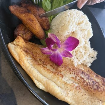 Sr Ceviche - Lighthouse Point - Pescado à la plancha. - Peruvian Near Me - Lighthouse Point, Florida