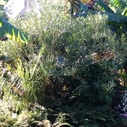 Jardin de la Retraite - Intérieur.