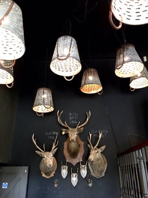 The Kings Arms by null