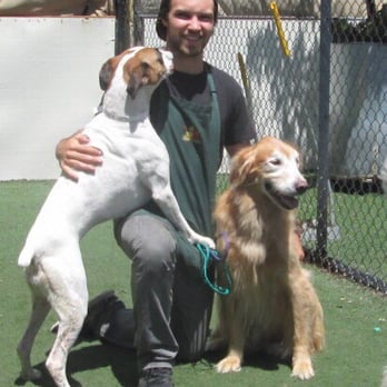 Pet Camp - Pet Training Near Me - San Francisco, California Pet Camp - Pet Training Near Me - San Francisco, California