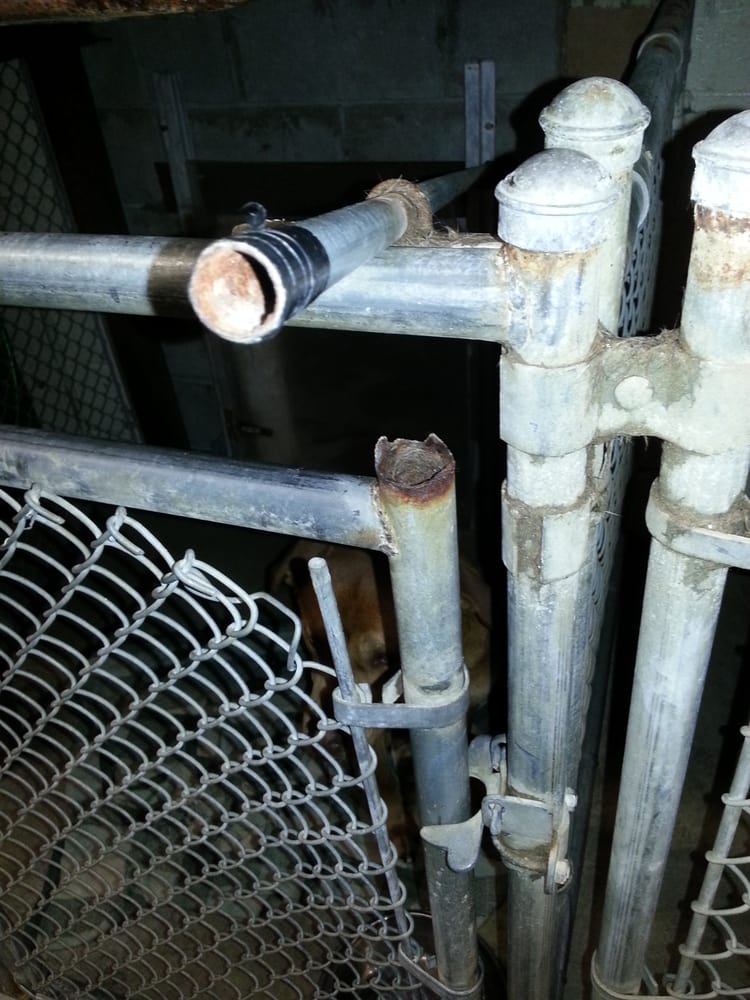 COLBY KENNELS Updated October 2024 1090 State Rt 94, Vails Gate