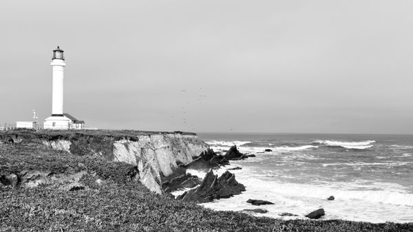 Point Arena Lighthouse by null