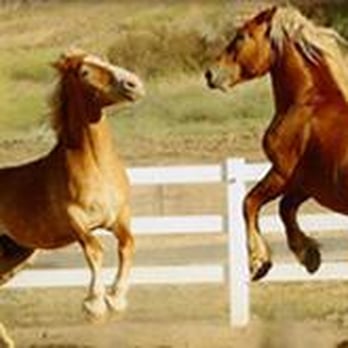 Longshadow Ranch Vineyard And Winery - Weee! - Wineries Near Me - Temecula, California Longshadow Ranch Vineyard And Winery - Weee! - Wineries Near Me - Temecula, California